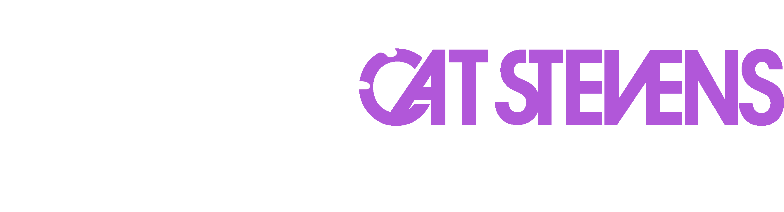 Cat Stevens